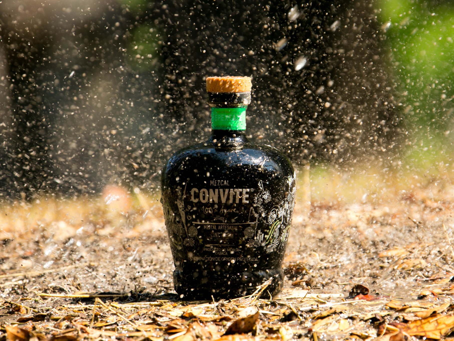 Mezcal Convite Jabalí